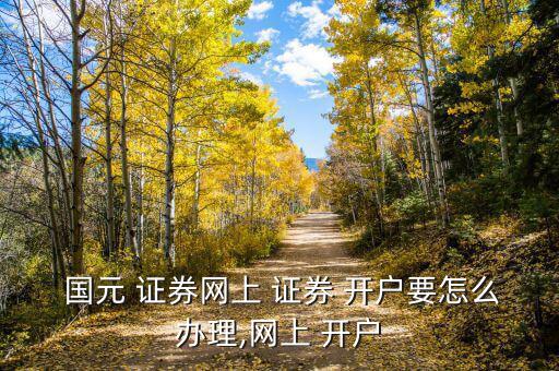 國(guó)元證券開(kāi)戶(hù)怎么樣,國(guó)元證券開(kāi)戶(hù)如何登錄交易1