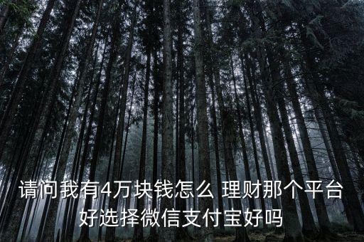 請問我有4萬塊錢怎么 理財(cái)那個平臺好選擇微信支付寶好嗎