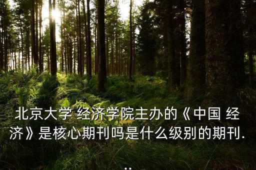 北京大學(xué) 經(jīng)濟學(xué)院主辦的《中國 經(jīng)濟》是核心期刊嗎是什么級別的期刊...