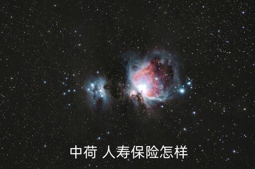 買(mǎi)中荷人壽保險(xiǎn)怎么樣,中荷人壽保險(xiǎn)公司靠譜嗎?
