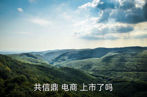 電商怎么上市,南極電商在納斯達(dá)克上市騰訊、慧聰網(wǎng)香港上市