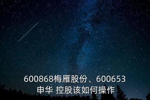 600868梅雁股份、600653 申華 控股該如何操作
