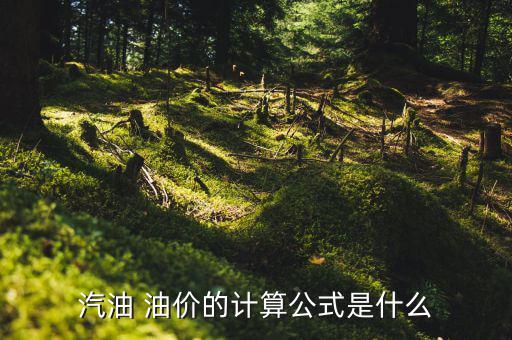 油價(jià)是怎么算的,汽車百公里油耗多少?一般來(lái)說(shuō)八九成