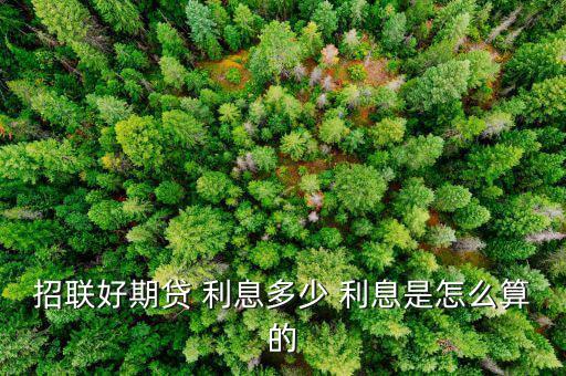 好又貸利息怎么算,聯(lián)聯(lián)好期限貸款是正規(guī)貸款產品