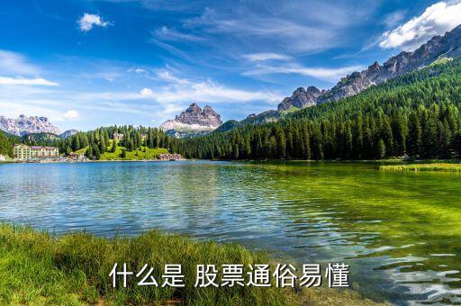 怎么懂股票,股票基礎(chǔ)、股票定投、投資書籍等資源免費下載