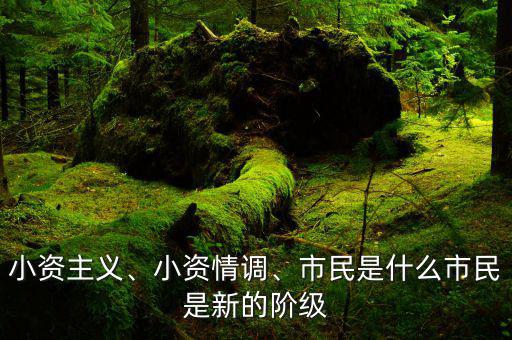 小資主義、小資情調(diào)、市民是什么市民是新的階級(jí)