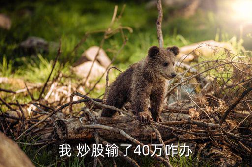 我 炒股輸了40萬(wàn)咋辦