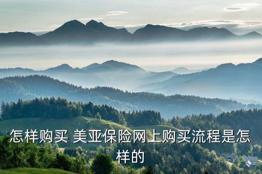 美亞保險怎么報險,春運如何購買保險?可在線投保、索賠