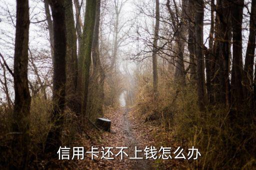 欠信用卡錢怎么談還款,銀行信用卡消費(fèi)重在量入為出遲早要還的