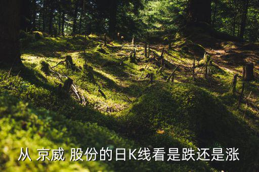 京威股份股票怎么樣,周一開(kāi)盤可關(guān)注兩家公司的最新動(dòng)態(tài)