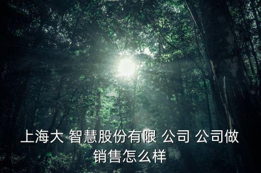上海大 智慧股份有限 公司 公司做銷(xiāo)售怎么樣