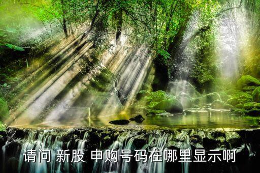 請(qǐng)問 新股 申購號(hào)碼在哪里顯示啊