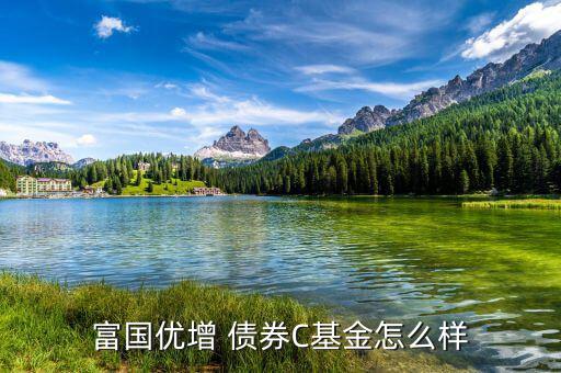 嘉實(shí)債券怎么樣,短債基金包括諾安債券、友邦短債、嘉實(shí)超短債