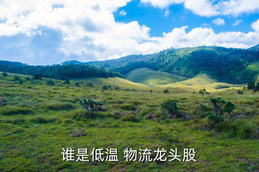 鐵龍物流怎么樣,金海捷亞物流管理公司機場倉儲業(yè)務(wù)發(fā)展迅速