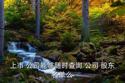 上市 公司能夠隨時(shí)查詢(xún) 公司 股東名單么