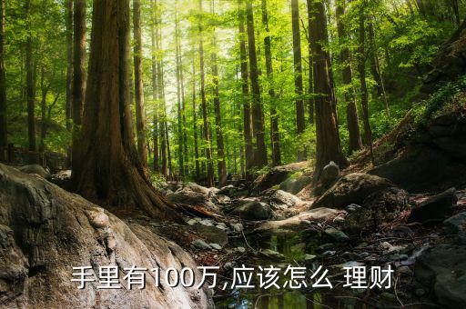 有大房有好車存款100萬(wàn)怎么理財(cái),美國(guó)華爾街股市略微下跌