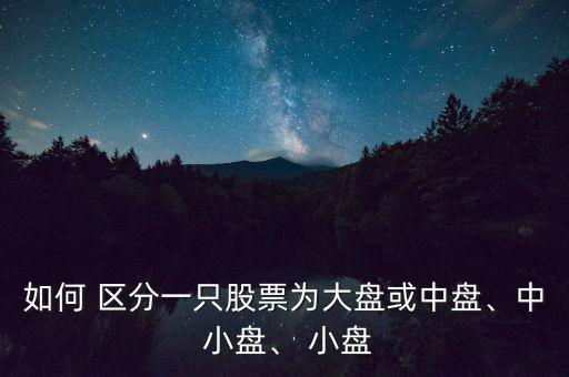 如何 區(qū)分一只股票為大盤或中盤、中 小盤、 小盤