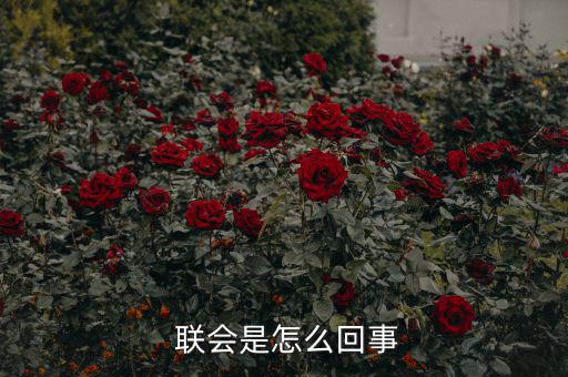 怎么區(qū)分聯(lián)會(huì),染色體在減數(shù)分裂過程中的行為特征如何表達(dá)?