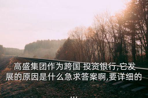  高盛集團作為跨國 投資銀行,它發(fā)展的原因是什么急求答案啊,要詳細的...
