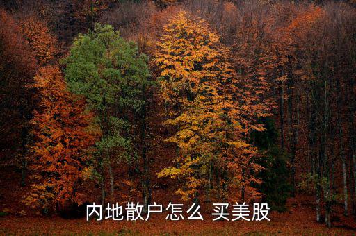內(nèi)地散戶怎么 買(mǎi)美股