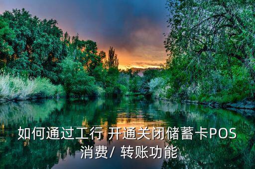 如何通過工行 開通關(guān)閉儲蓄卡POS 消費/ 轉(zhuǎn)賬功能