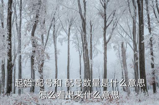  起始 配號(hào)和 配號(hào)數(shù)量是什么意思怎么看出來(lái)什么意思