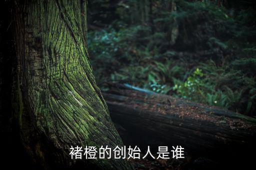 褚橙是怎么做地推的,選票熱門(mén)人選票區(qū)競(jìng)選廣播