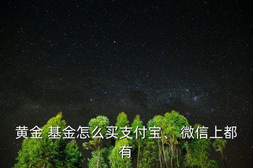 黃金 基金怎么買支付寶、 微信上都有