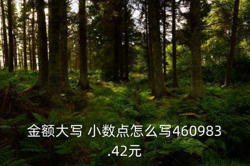 金額大寫 小數點怎么寫460983.42元