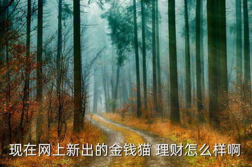 現(xiàn)在網(wǎng)上新出的金錢貓 理財怎么樣啊