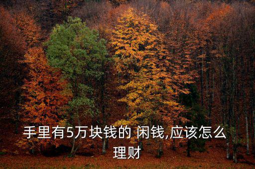 有閑錢(qián)五萬(wàn)怎么理財(cái),理財(cái)在線｜羅清全】理財(cái)規(guī)劃（11）