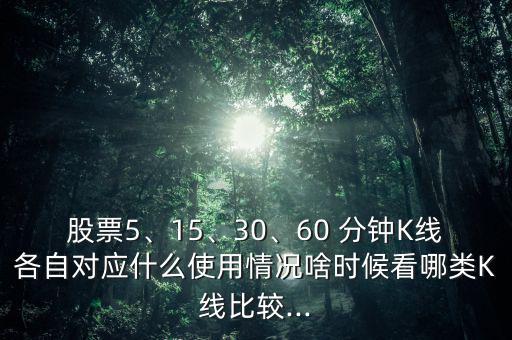 股票5、15、30、60 分鐘K線各自對(duì)應(yīng)什么使用情況啥時(shí)候看哪類K線比較...