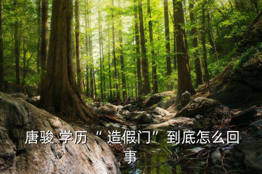  唐駿 學(xué)歷“ 造假門(mén)”到底怎么回事