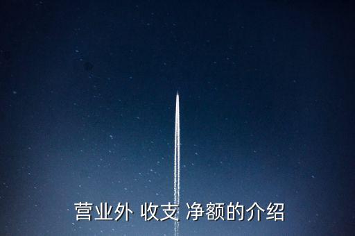  營(yíng)業(yè)外 收支 凈額的介紹