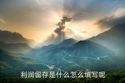  利潤(rùn)留存是什么怎么填寫(xiě)呢