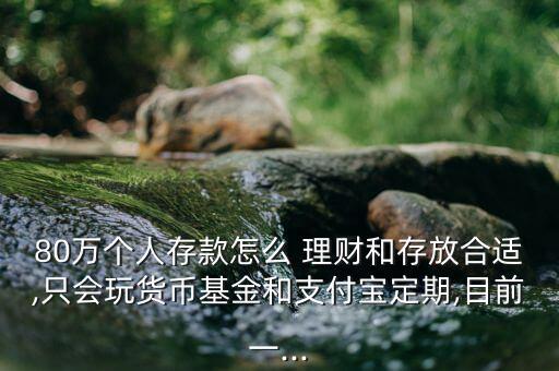 80萬個(gè)人存款怎么 理財(cái)和存放合適,只會(huì)玩貨幣基金和支付寶定期,目前一...