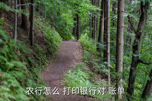 農行怎么 打印銀行對 賬單
