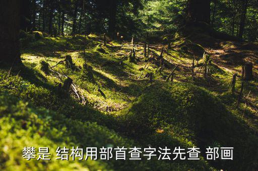 攀是 結(jié)構(gòu)用部首查字法先查 部畫(huà)