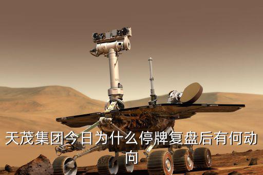 天茂集團什么時候開盤，天茂集團今日為什么停牌復盤后有何動向