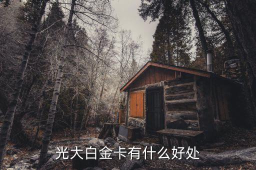 光大微稅聯(lián)白金卡有什么好處，光大銀行白金卡的好處我提供本人的100平以上的房產(chǎn)證和作為法人