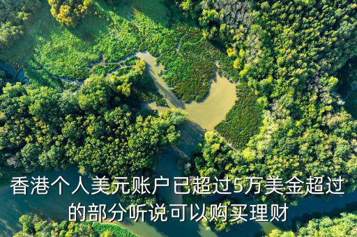 美元在香港投資什么比較好，香港個(gè)人美元賬戶已超過(guò)5萬(wàn)美金超過(guò)的部分聽(tīng)說(shuō)可以購(gòu)買理財(cái)