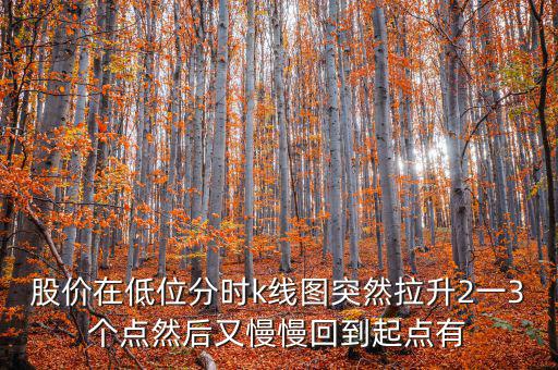 低位反彈之后加速拉升什么情況，股價(jià)在低位分時(shí)k線圖突然拉升2一3個(gè)點(diǎn)然后又慢慢回到起點(diǎn)有