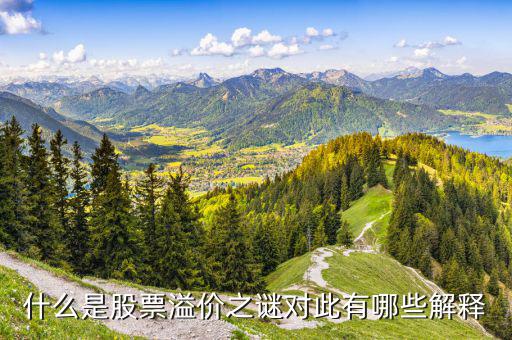 股票溢價(jià)是什么意思，什么是股票溢價(jià)之謎對(duì)此有哪些解釋