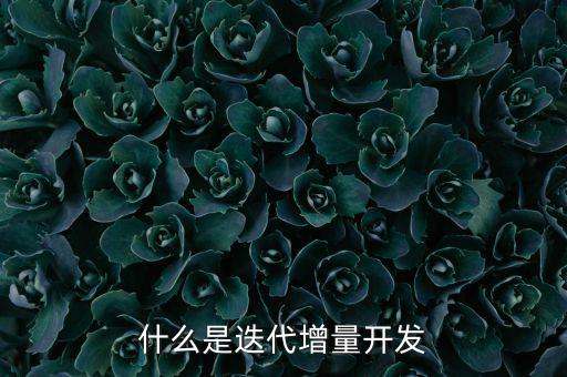 什么是增量發(fā)展，物理意義上的增量是什么意思
