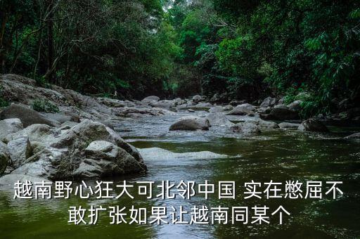 越南為什么那么狂，越南野心狂大可北鄰中國 實在憋屈不敢擴張如果讓越南同某個