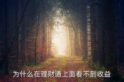 投資60元理財(cái)通為什么沒(méi)收益，為什么在理財(cái)通上面看不到收益