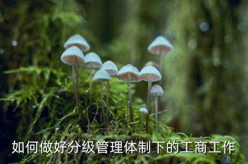 什么是分層分級管理，如何做好分級管理體制下的工商工作