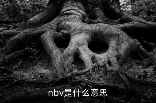 保險nbv是什么意思，nbv是什么意思