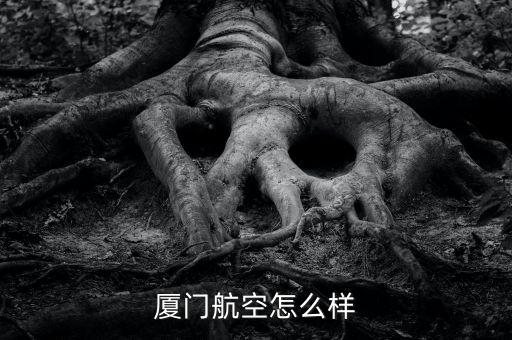 廈航怎么盈利,廈航怎么樣?網民怎么看?