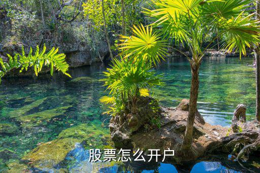  股票怎么開(kāi)戶